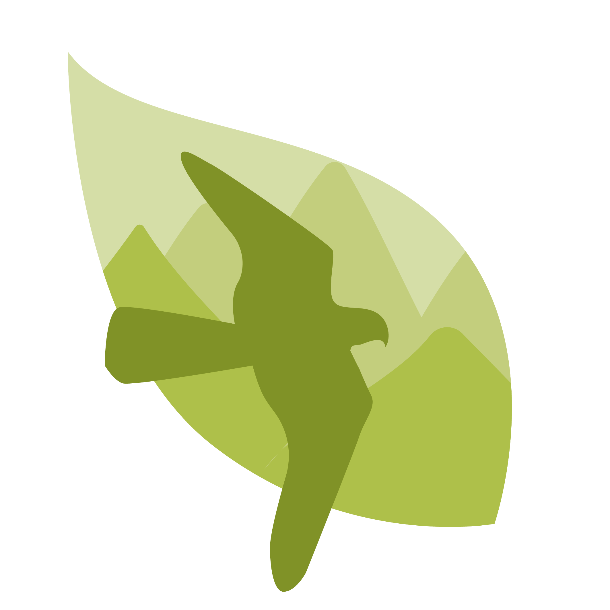 Actividad: Avistamiento de Aves