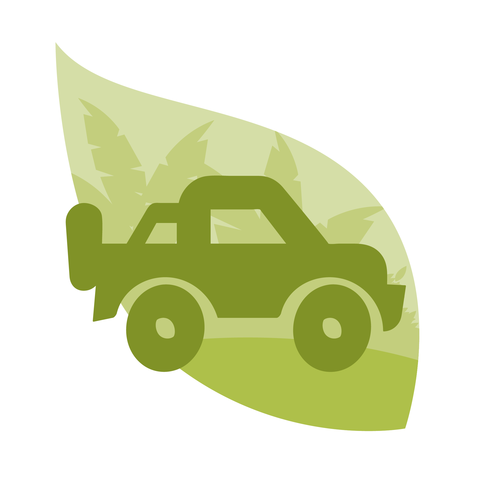 Actividad: Safari Llanero