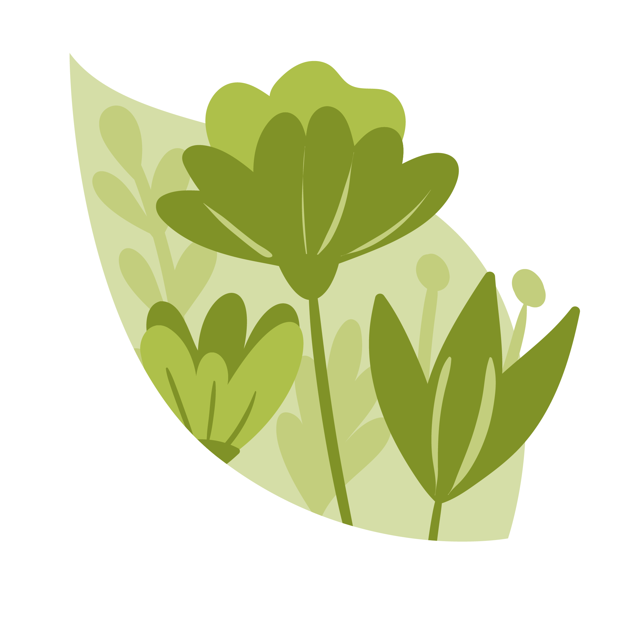 Actividad: Avistamiento de Flora