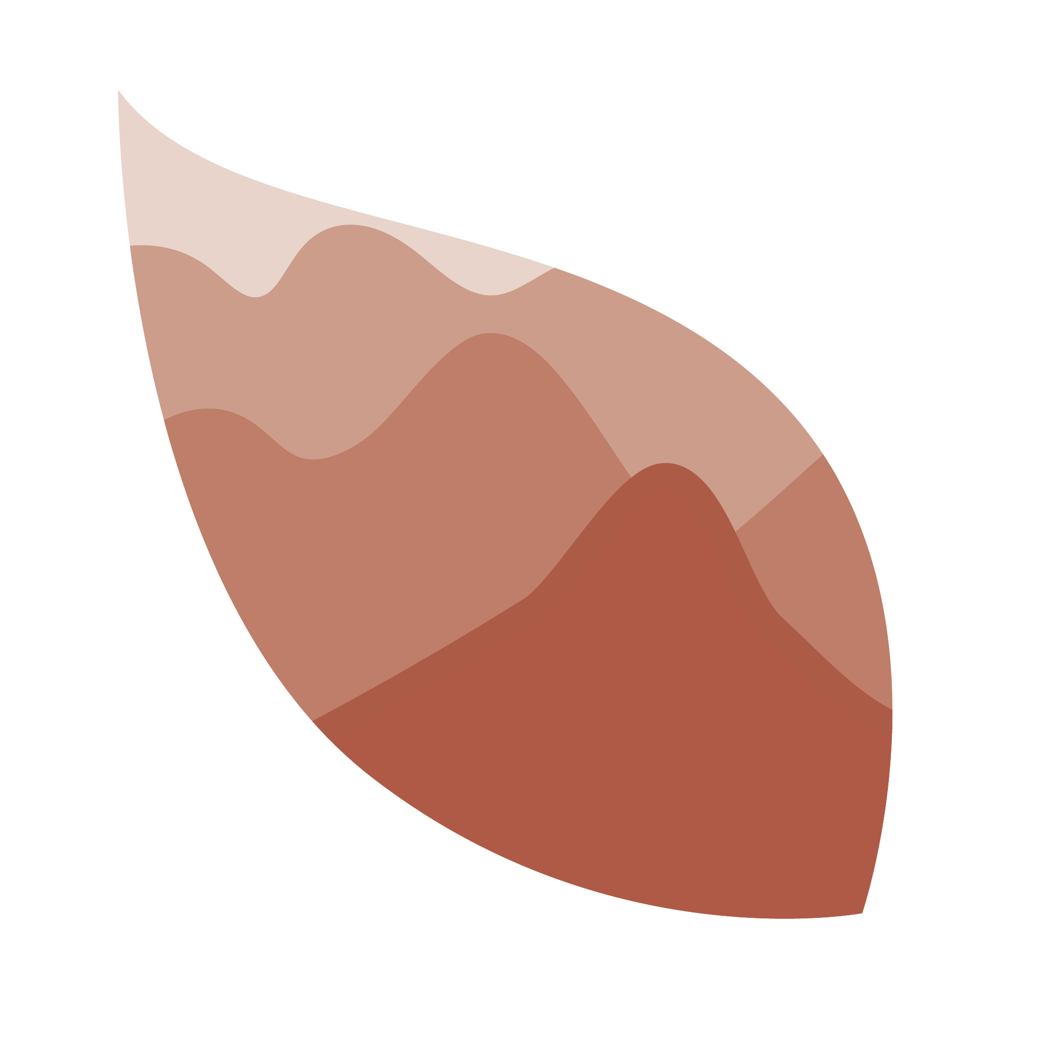 Actividad: Alta Montaña